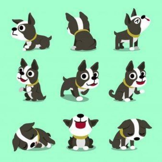 Boston Terrier Dog | Diamond Painting