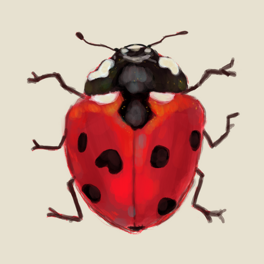 Ladybug | Diamond Painting
