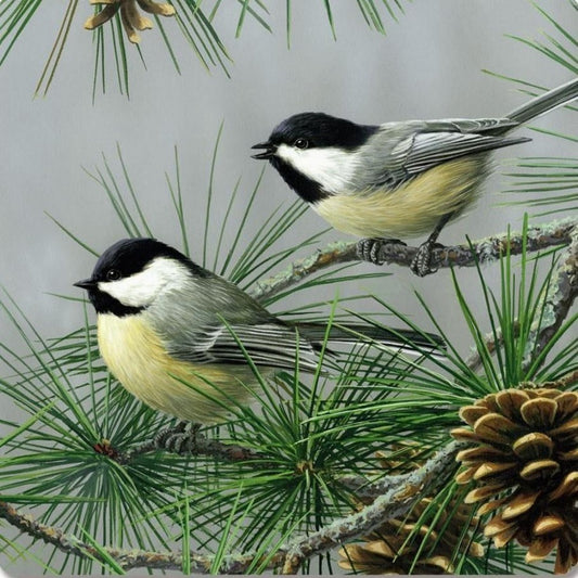 Chickadee | Diamond Painting