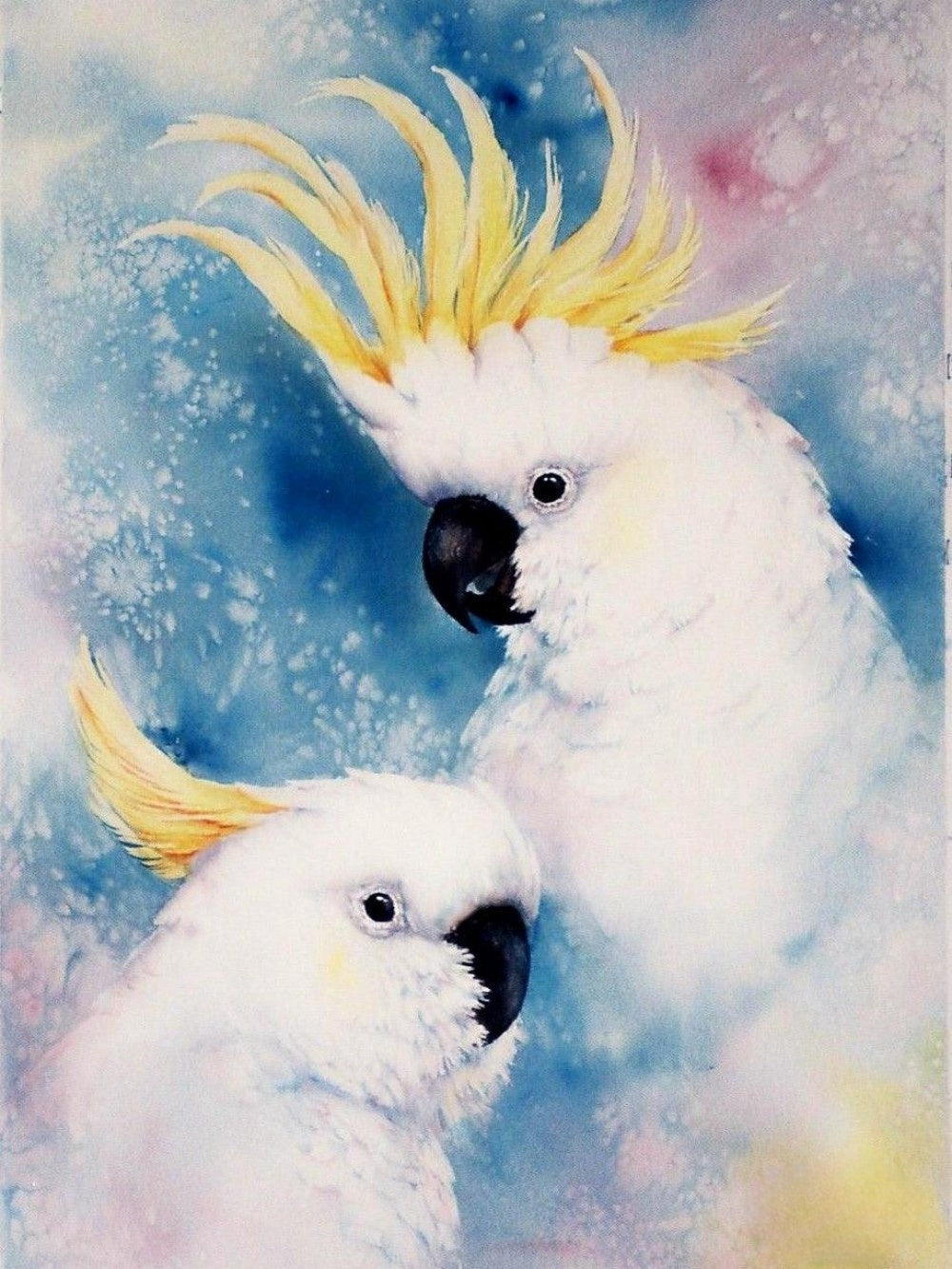 Cockatoo | Diamond Painting