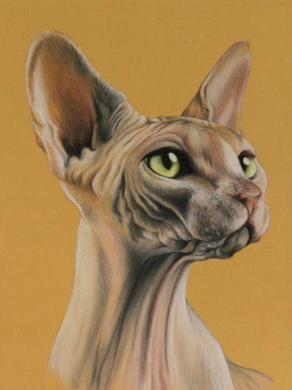 Sphynx Cat  | Diamond Painting