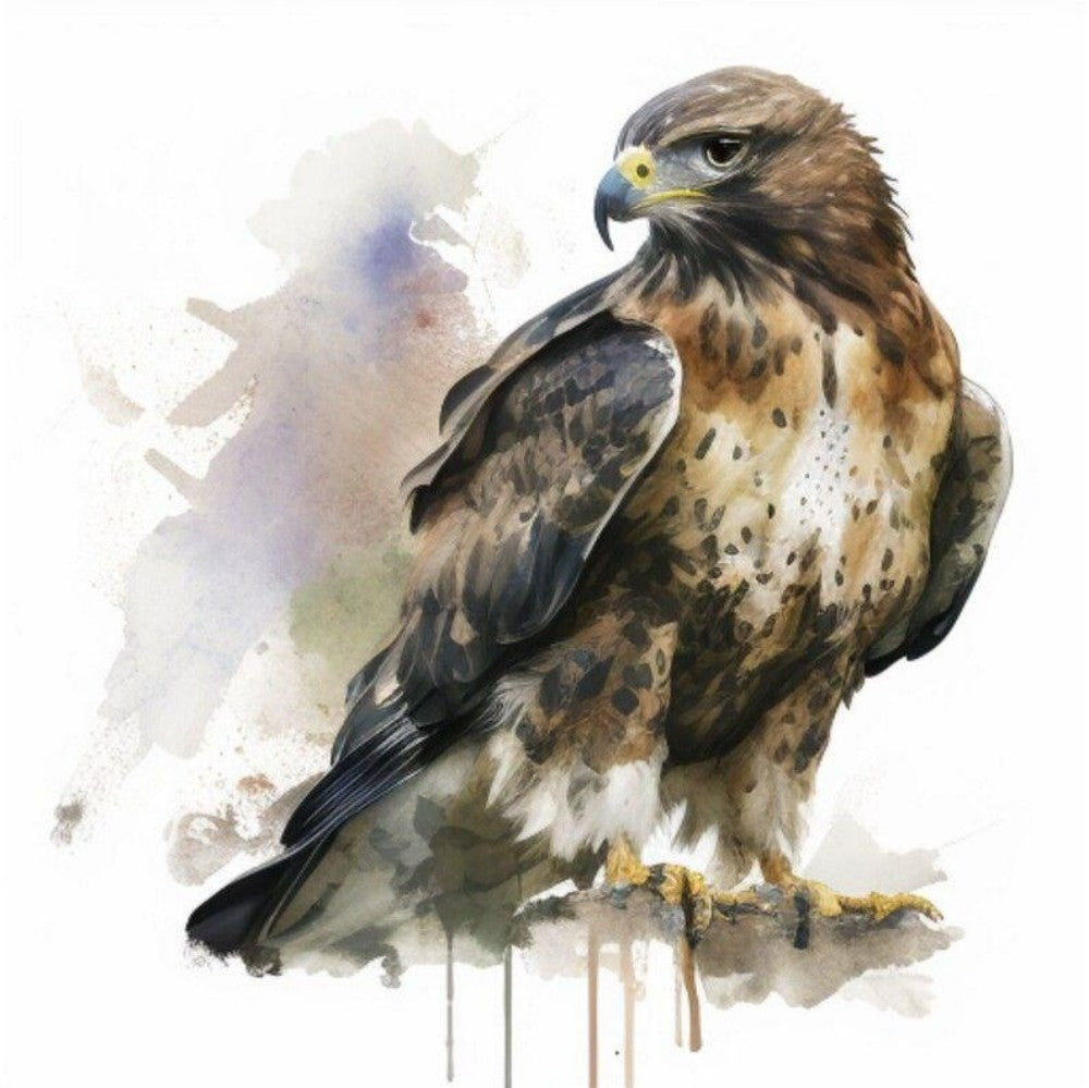 Falcon | Diamond Painting