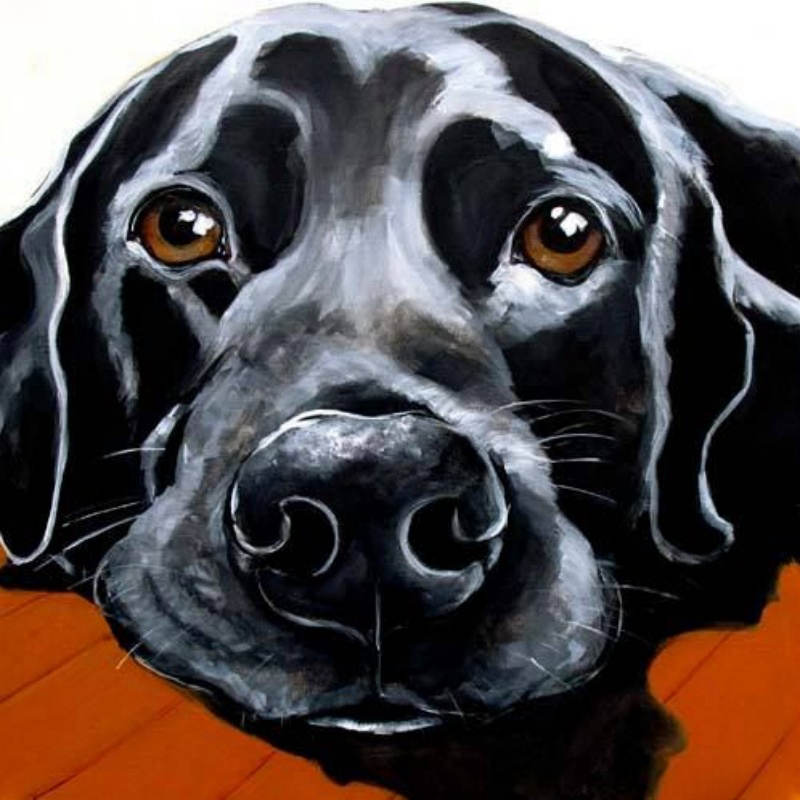 Black Labrador Dog | Diamond Painting