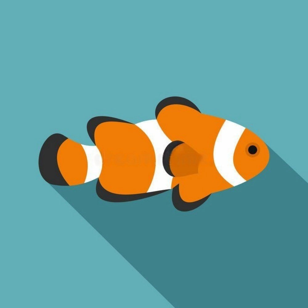 Clown Fish | Diamond Painting