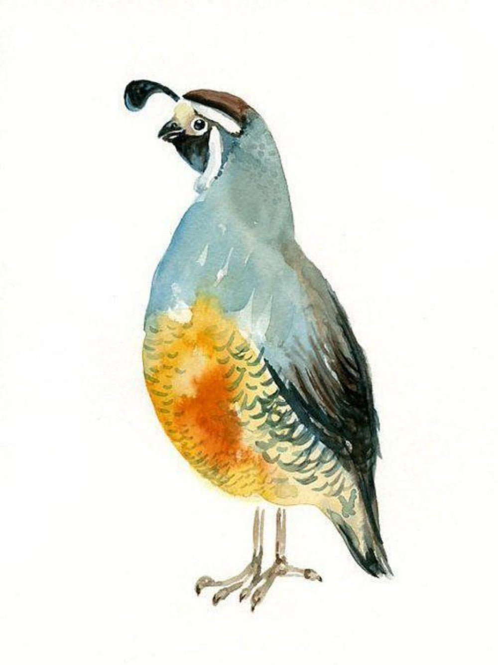 Quail | Diamond Painting