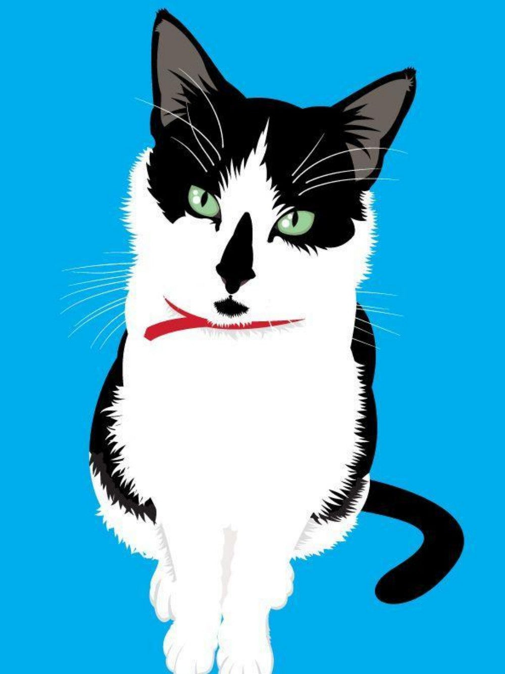 Tuxedo Cat  | Diamond Painting