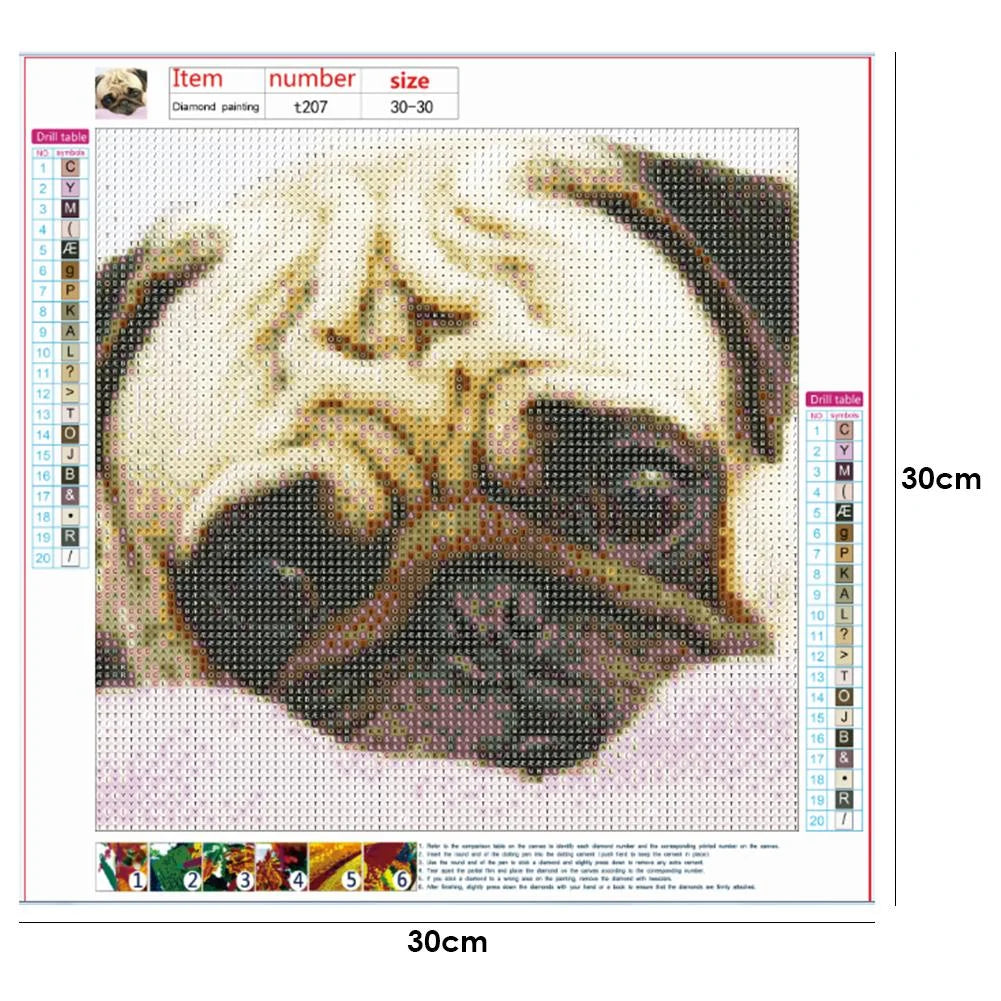 Big Eye Dog Pug | Diamond Painting