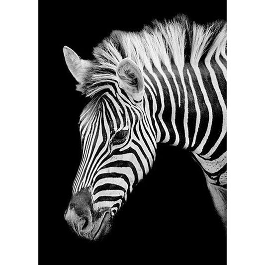 Zebra | Diamond Painting