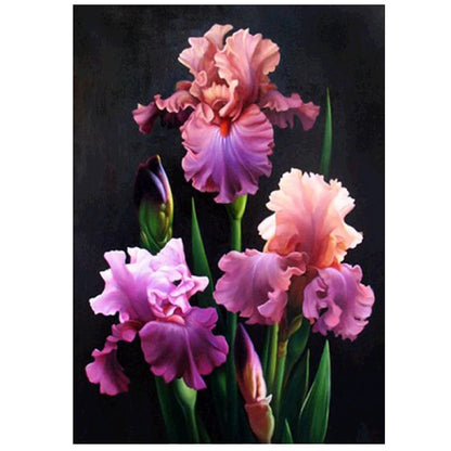 Iris | Diamond Painting