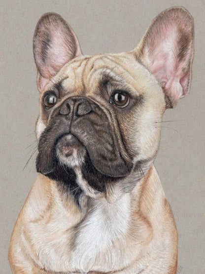 French Bulldog Dog | Diamond Painting