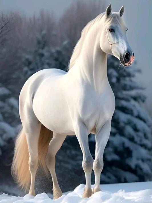 Horse | Diamond Painting