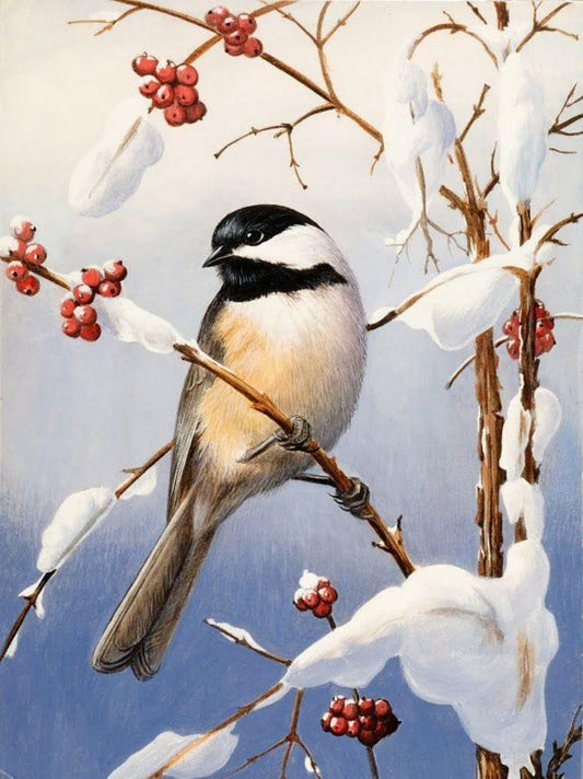 Chickadee | Diamond Painting