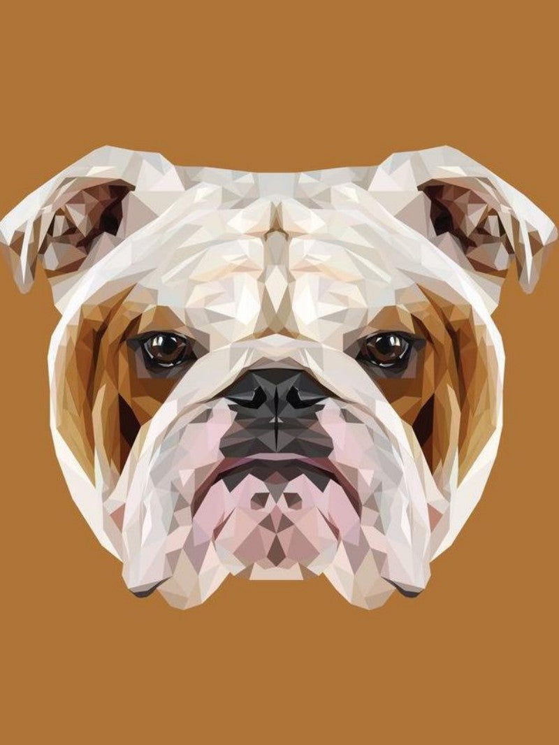 Dog English Bulldog | Diamond Painting