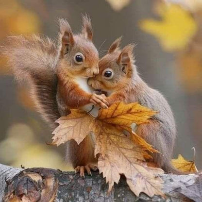 Squirrel | Diamond Painting