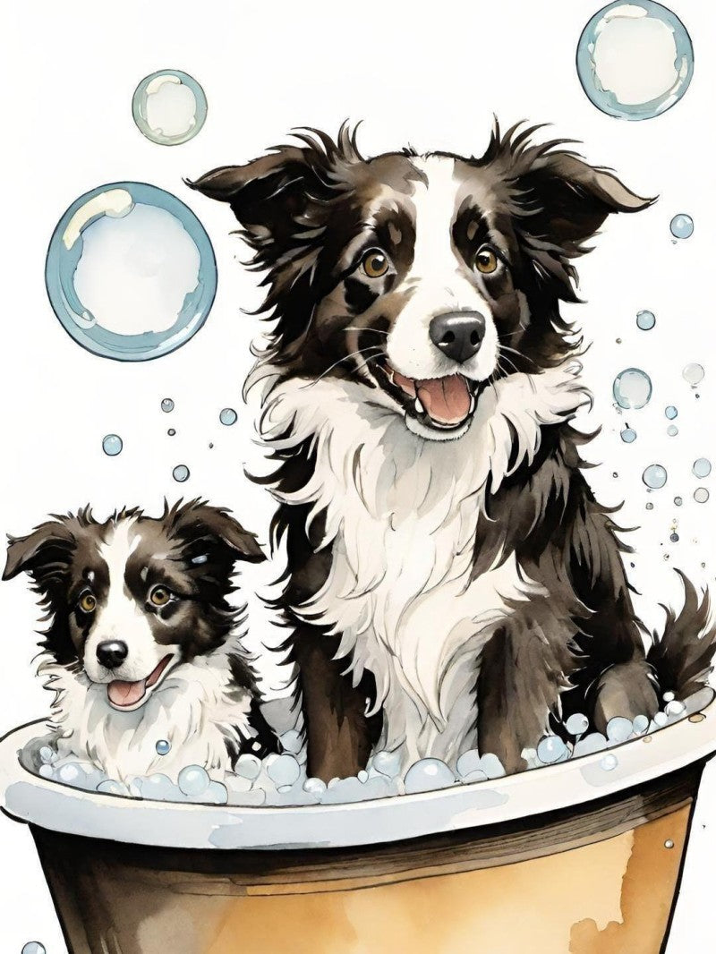 Dog Border Collie | Diamond Painting