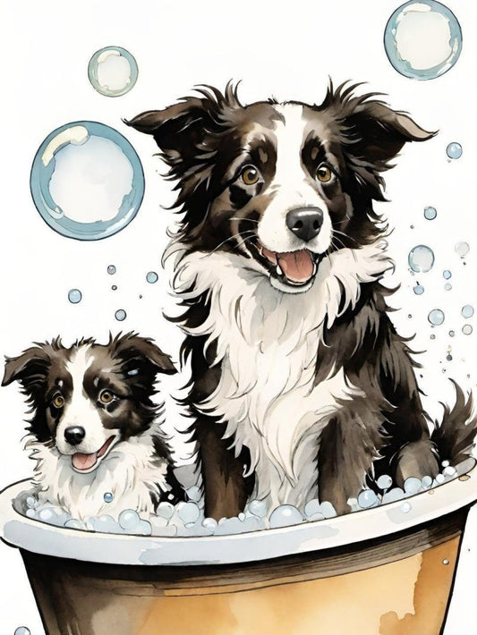 Dog Border Collie | Diamond Painting