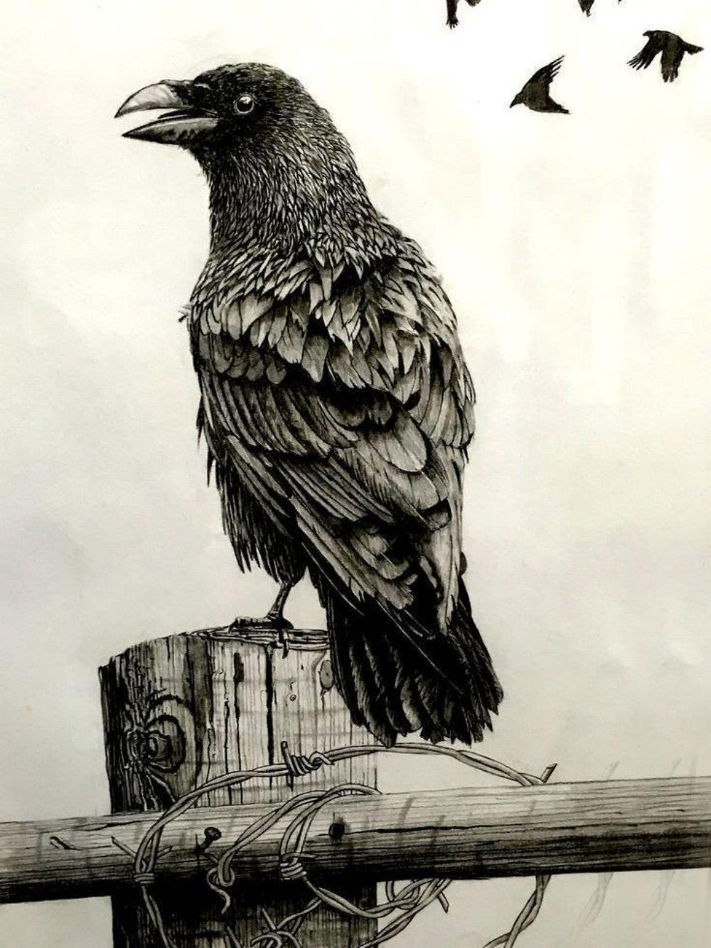 Crow | Diamond Painting