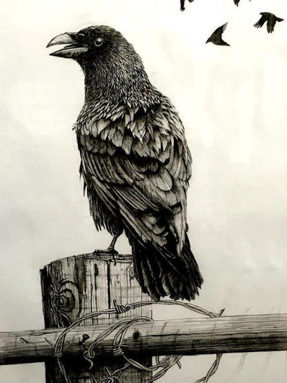 Crow | Diamond Painting
