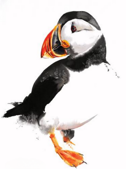 Puffin | Diamond Painting