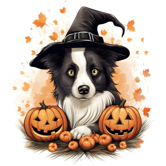 Dog Border Collie | Diamond Painting