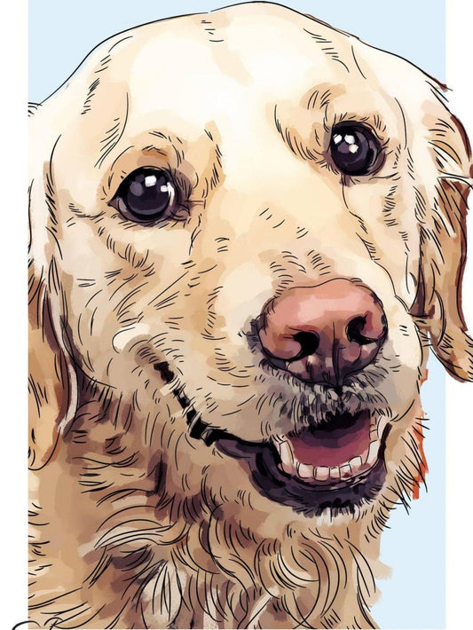 Yellow Labrador Dog | Diamond Painting