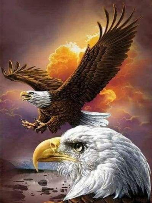 Eagle | Diamond Painting