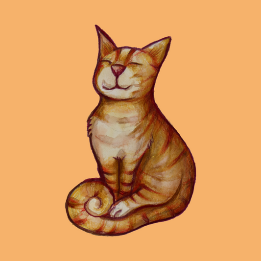 Tabby Cat | Diamond Painting