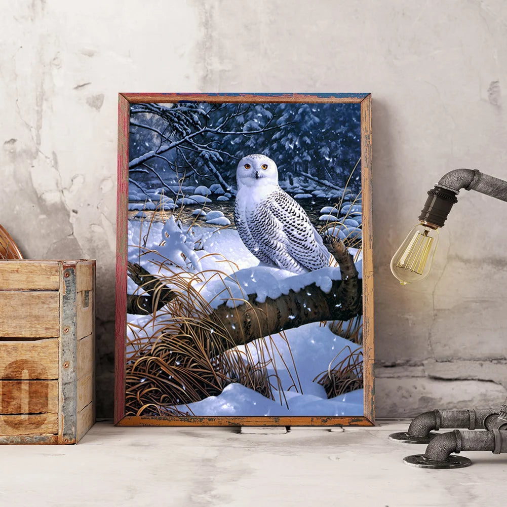 White Owl | Diamond Painting