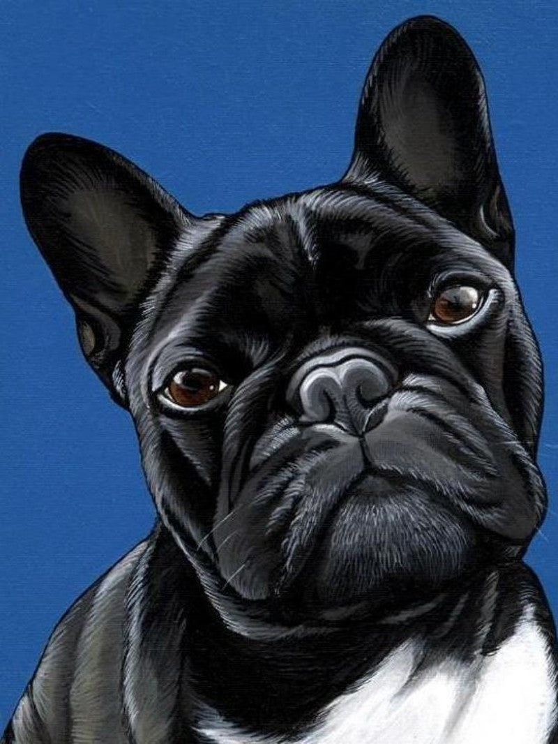 French Bulldog Dog | Diamond Painting