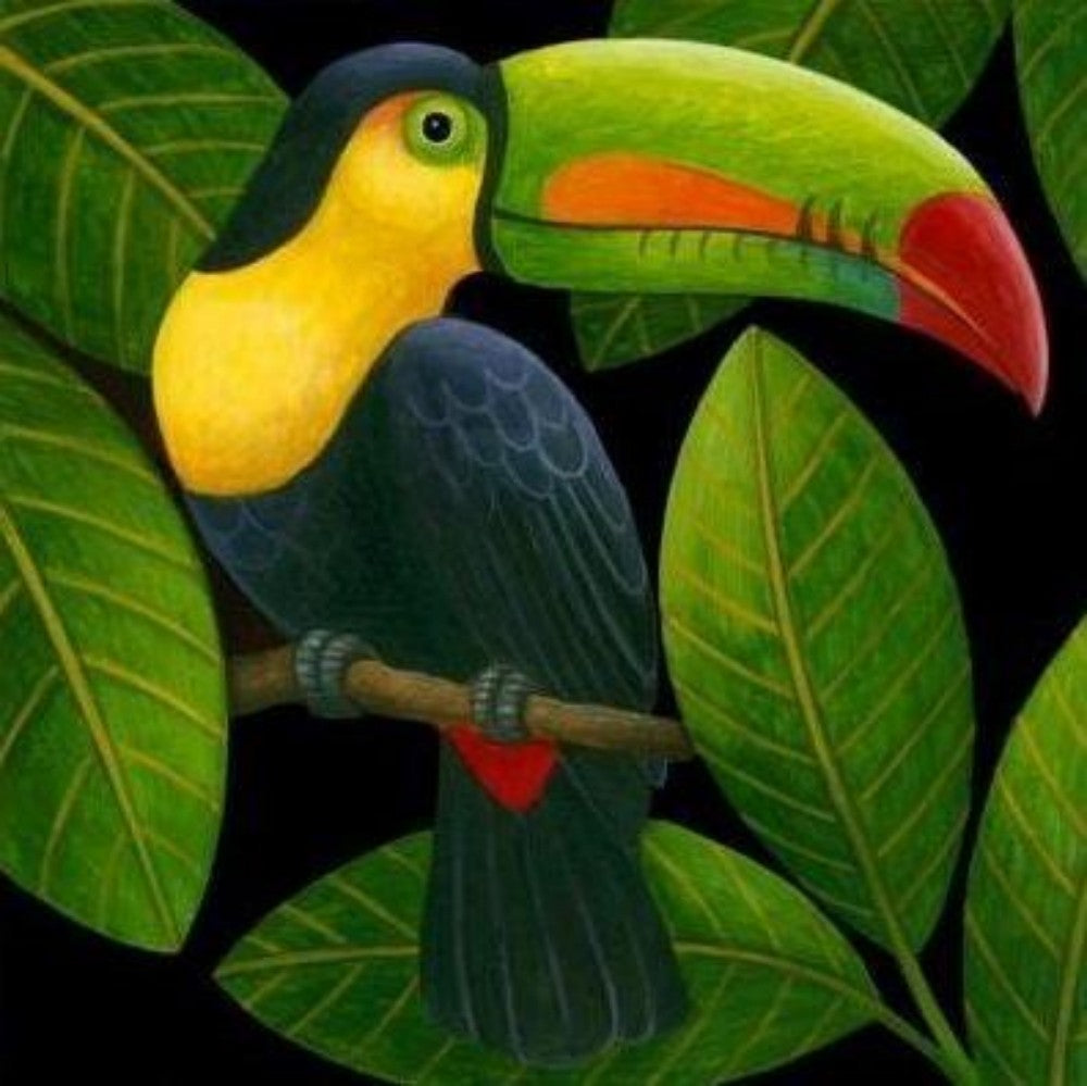 Toucan Bird | Diamond Painting