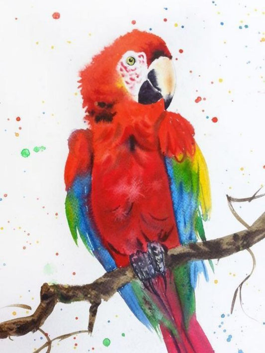 Macaw | Diamond Painting