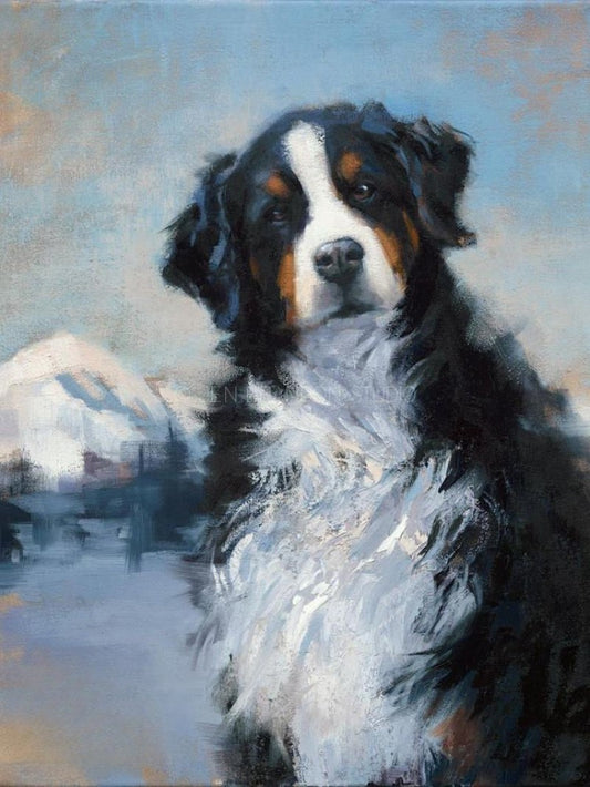 Bernese Mountain Dog | Diamond Painting