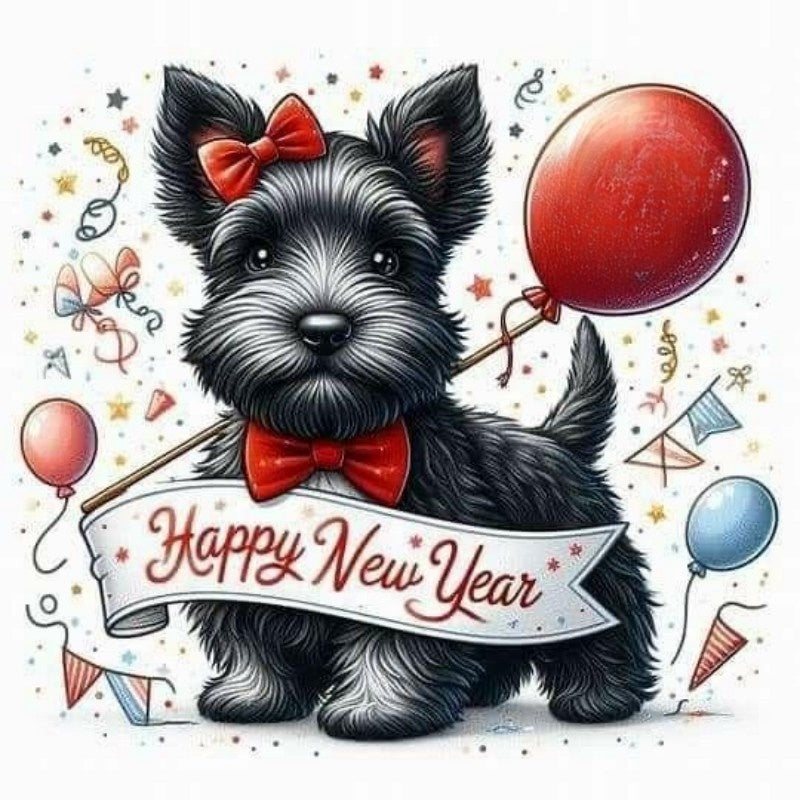 Dog Schnauzer | Diamond Painting