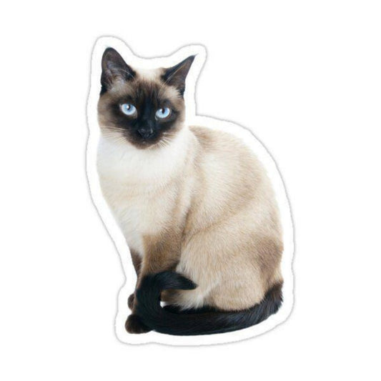 Siamese Cat | Diamond Painting