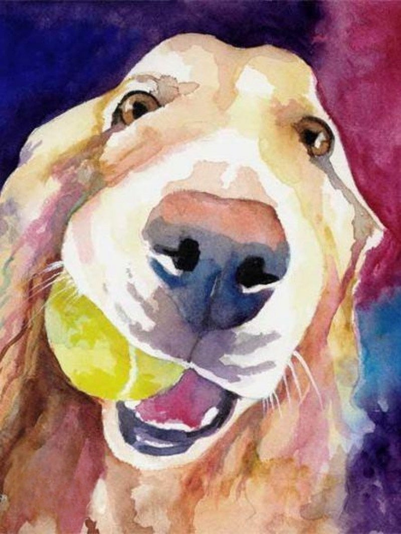 Yellow Labrador Dog | Diamond Painting