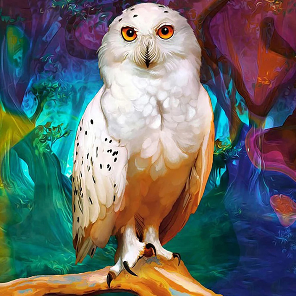 Owl | Diamond Painting