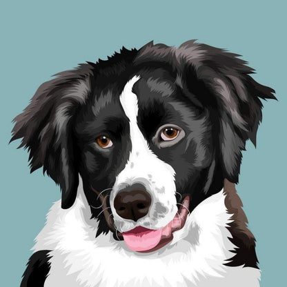 Dog Border Collie | Diamond Painting