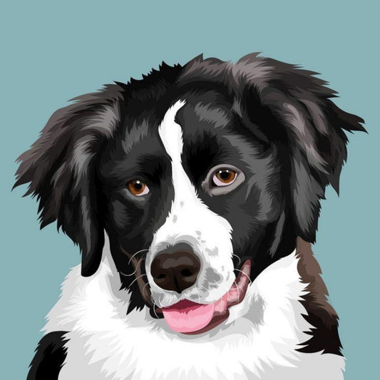 Dog Border Collie | Diamond Painting