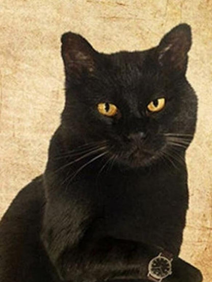 Black Cat | Diamond Painting
