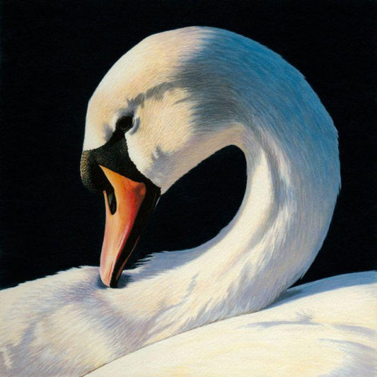 Swan | Diamond Painting