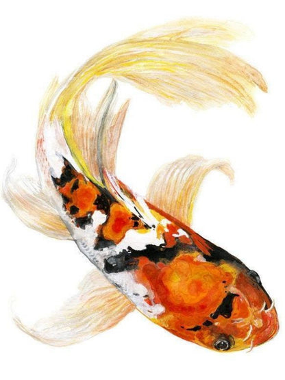Koi Fish | Diamond Painting
