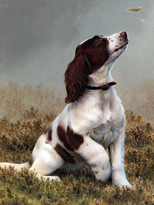 English Springer Spaniel Dog | Diamond Painting