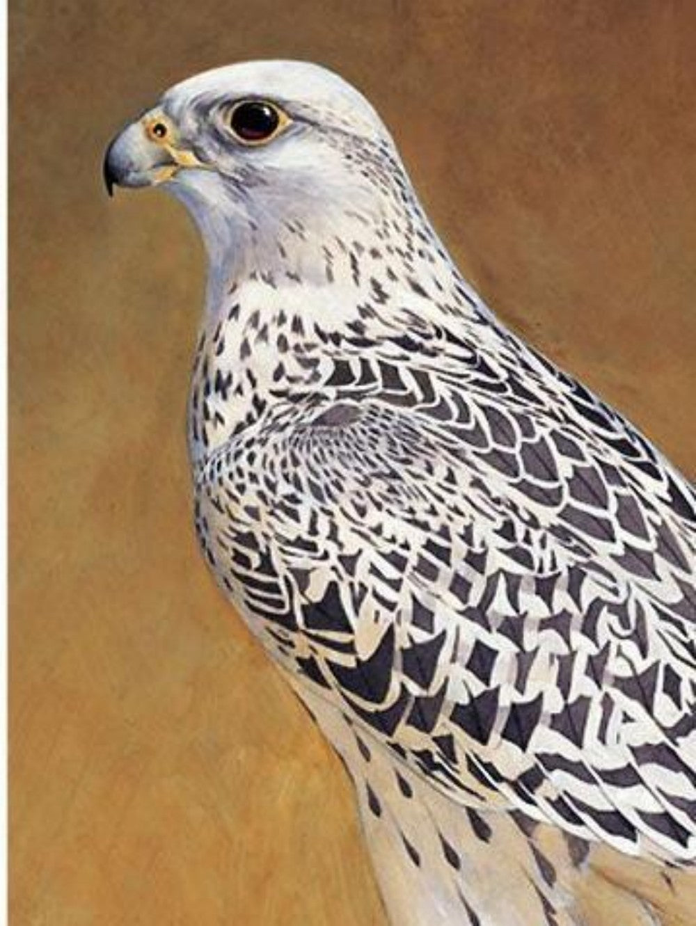 Falcon | Diamond Painting