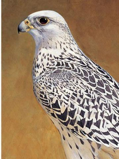 Falcon | Diamond Painting