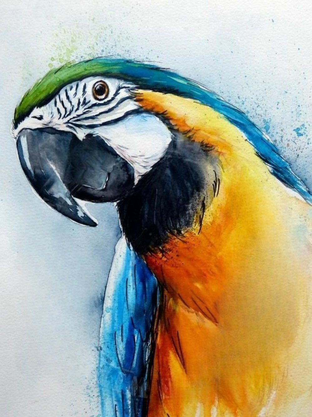 Macaw | Diamond Painting