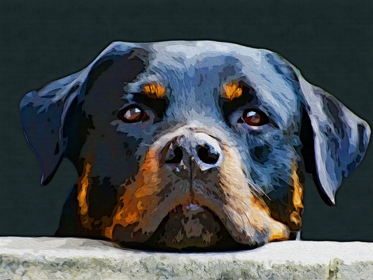 Rottweiler Dog | Diamond Painting