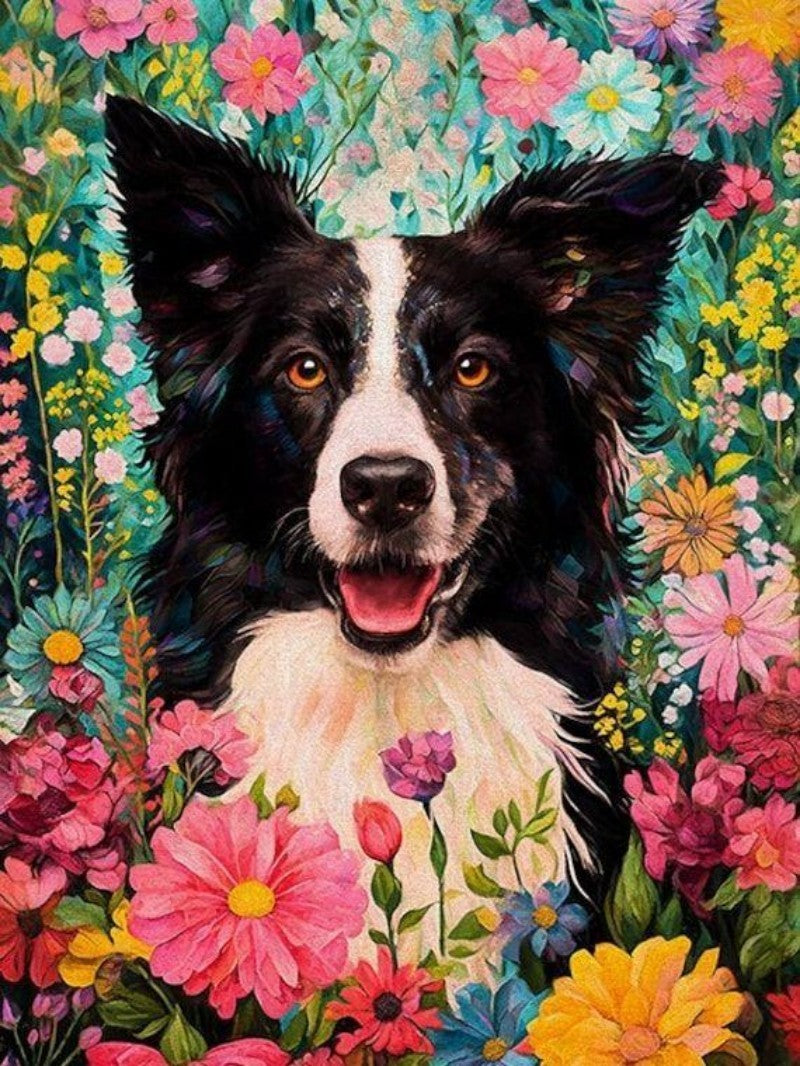 Dog Border Collie | Diamond Painting