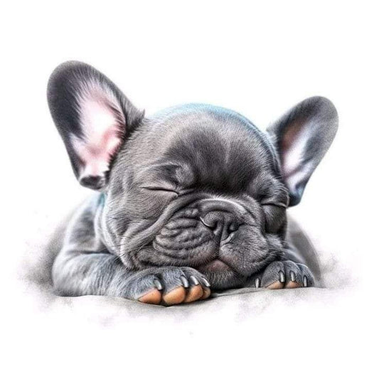 French Bulldog Dog | Diamond Painting