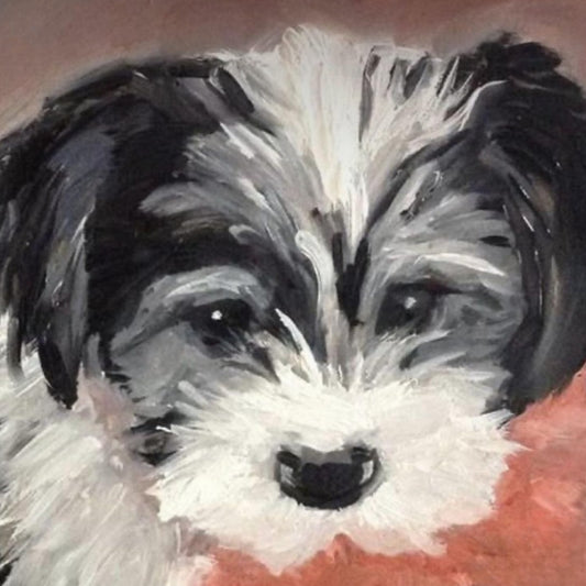 Havanese Dog | Diamond Painting