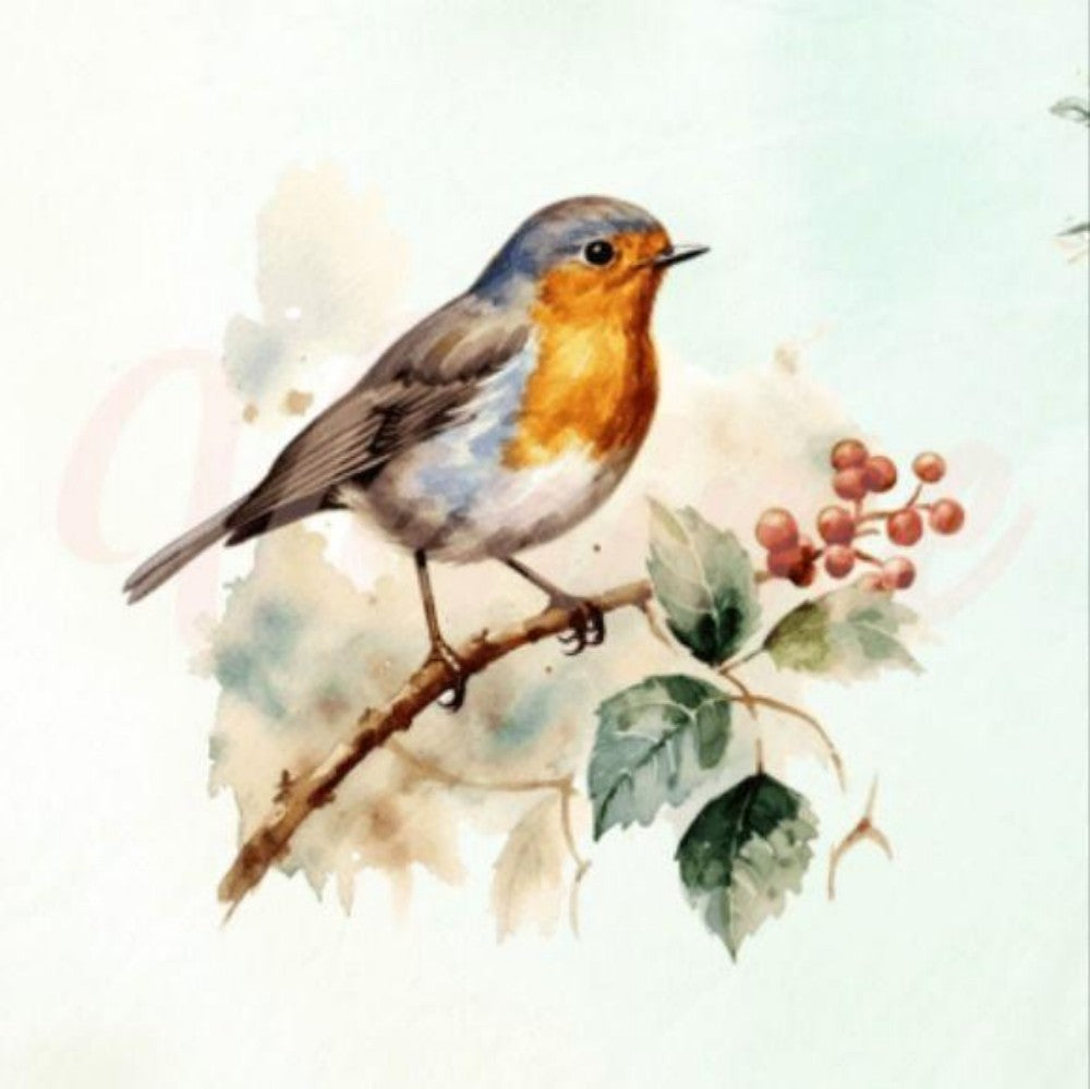 Robin Bird | Diamond Painting